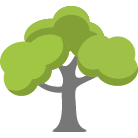 Spotsylvania Tree Removal