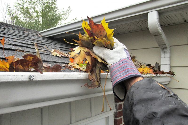 Drainage Maintenance