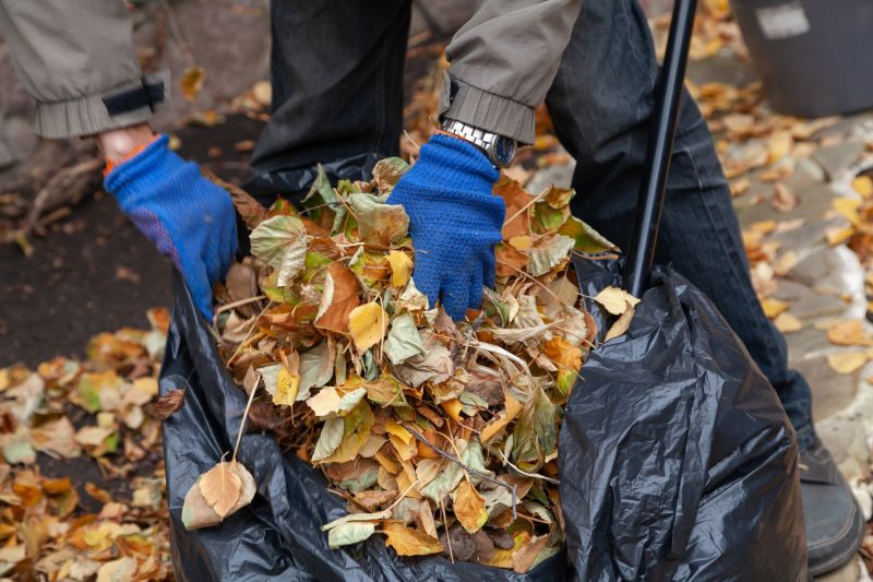Leaf Blowing
