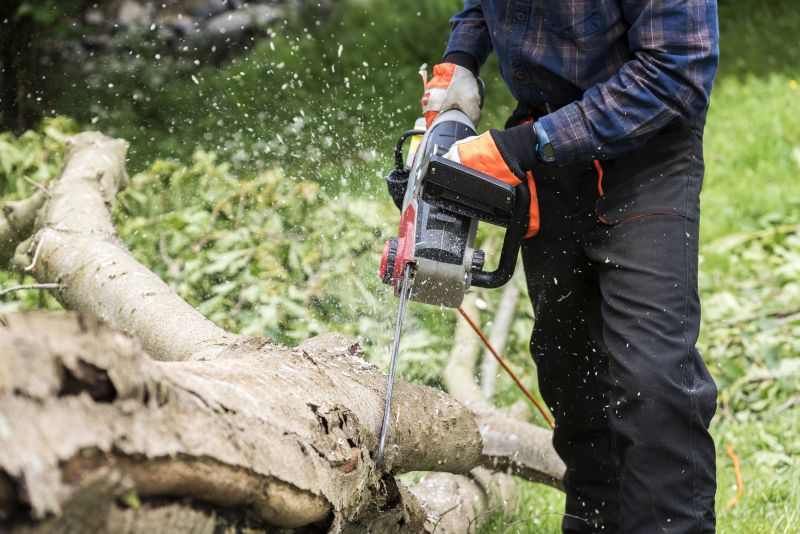 Tree Cutting Equipment
