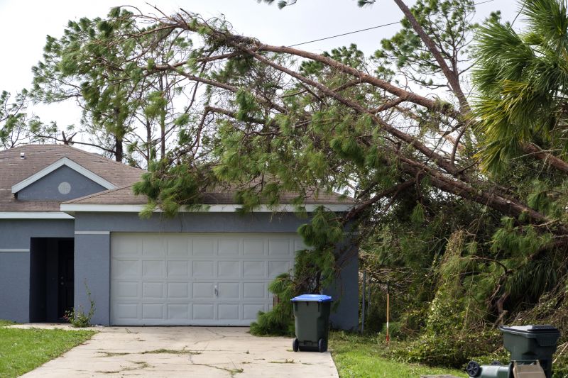 Cleared Property