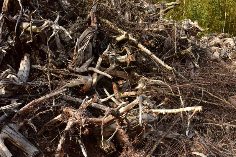Storm Damage Debris