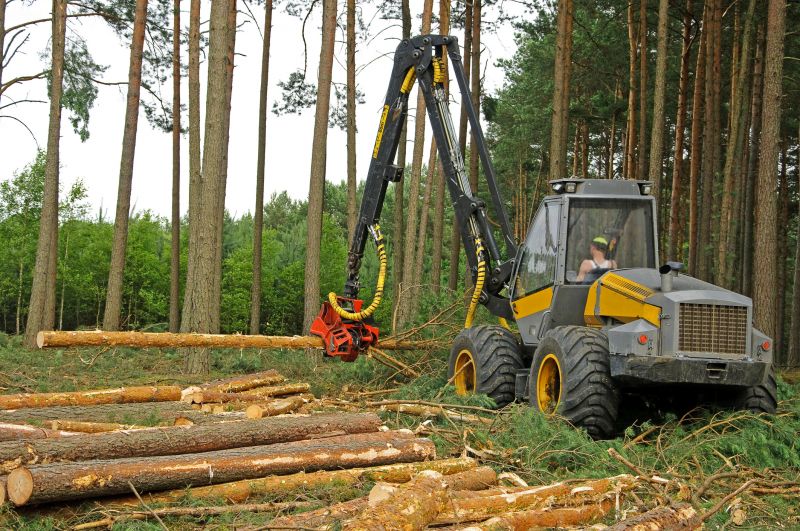 Heavy Equipment in Action